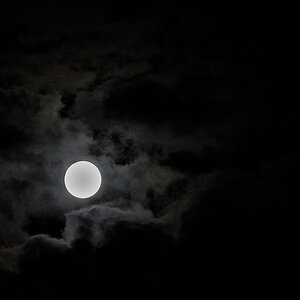 mond mit hof 2