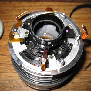 NikonRepA