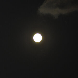 Mond