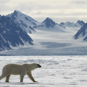 Spitzbergen 2011 JE