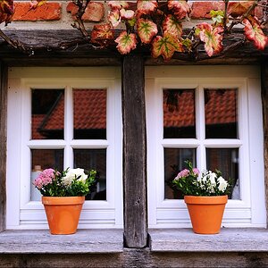 09/2011 - Herbststimmung in Altenberge