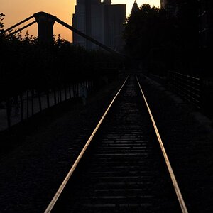Gleise im Abendlicht
