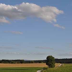 DSC 5009 mic40 k

Kamera-Modell: NIKON D90
Brennweite: 40.0mm (KB-Format entsprechend: 60mm)
Blende: f/5.6
Belichtungszeit: 0.0006s (1/1600)
ISO: 200