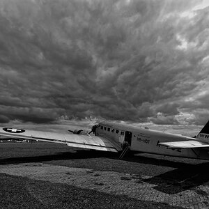 D3P8118bw