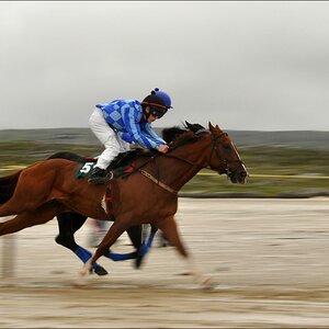 comp Irland1 534b