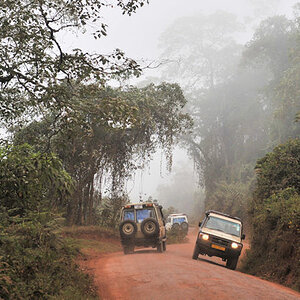 Die Straße windet sich zum Rand des 
Ngorongoro Krater hoch.
Das Bergland liegt bereits in den Wolken.
0111