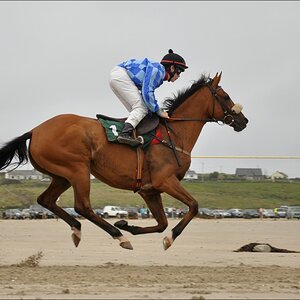 comp Irland1 706b