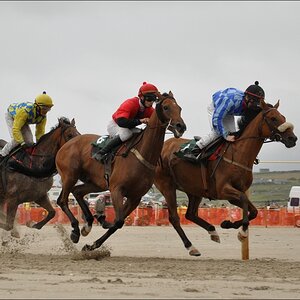 comp Irland1 718b