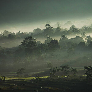 11 06 04Sentul001