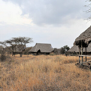 Das Kambi Ya Tembo 
zwischen dem Arusha Nationalpark, Kilimanjaro Nationalpark 
und dem Amboselli Game Reserve mitten im Busch.
Es gibt keinen Zaun. T