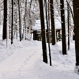 Spuren im Schnee