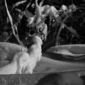 bizarre Figuren