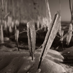 2009 02 17 03