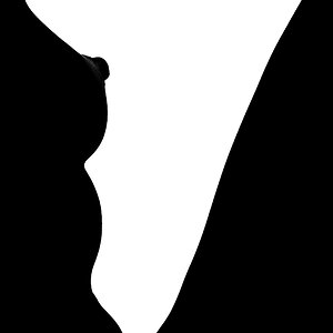 090111 150328