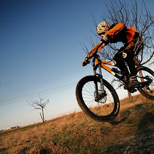 comp D30 4140 nx2