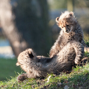 20090125 6604 [D700]   F8,0 420,00mm