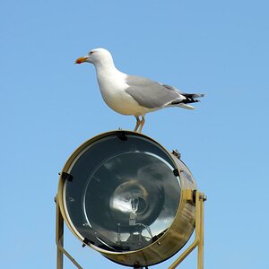 MöweKlein