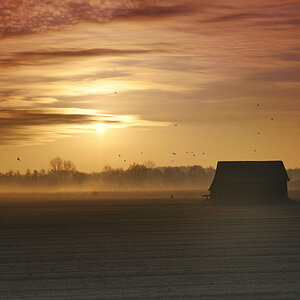 Morgens im Emsland