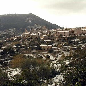 MallocoraKlein