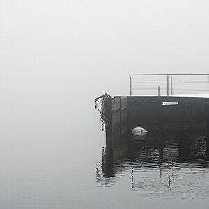 schlei1 farbe