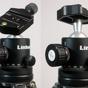 Linhof Kopf Profi II