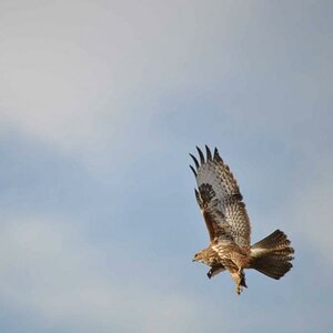 image003