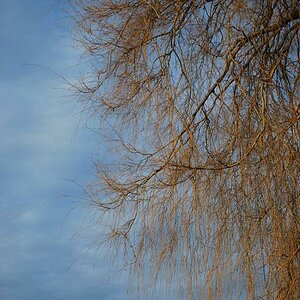 Zug, Dezember 08