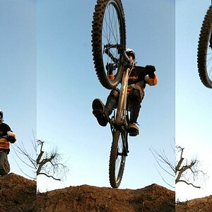 comp sprung2