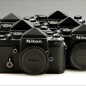 6xblack 2W