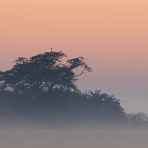 D300 DSC12440 NFF