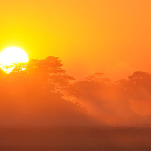 D300 DSC12467 NFF