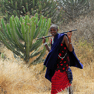 Maasai
9677