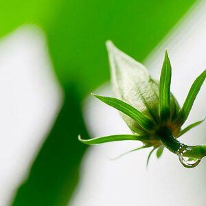 Abschied vom Regen