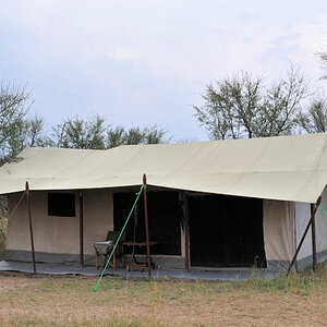Zelt (Exclusive Mobile Camp)
0324