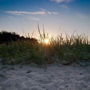 DSC 0436