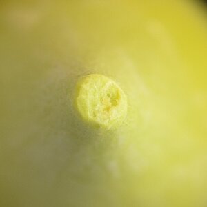 Was ist das.20110915