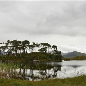 comp Irland2 199b