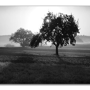 2011 herbst sw