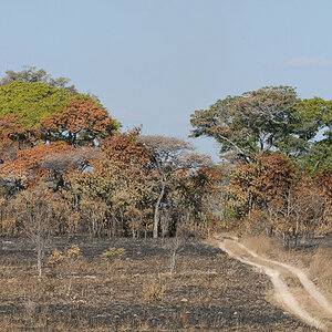 DSC2959 NFF