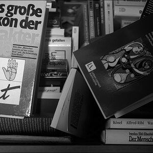 BerlinDSC 2160