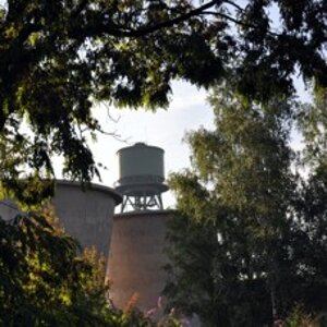 DSC 0066
