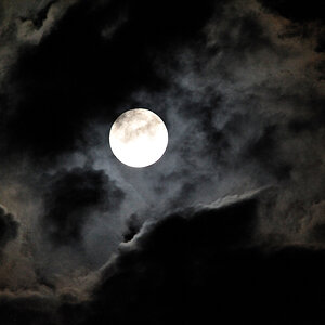 mond a
