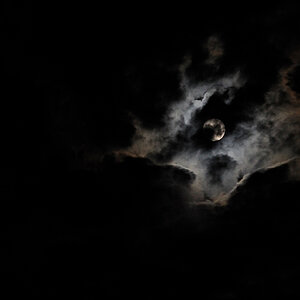 mond b