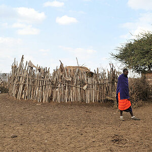 im Maasai Dorf, zentraler Kral für das Vieh
7931