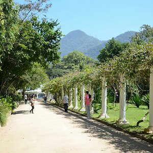 Rio de Janeiro, Jardim Botanico