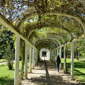 Rio de Janeiro, Jardim Botanico