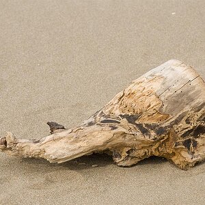 Holz   01