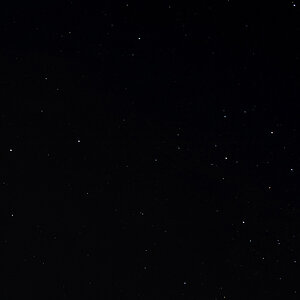 DSC5245 NFF
