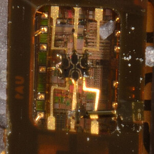 DSC02505