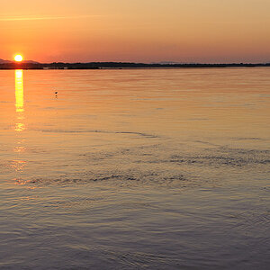 DSC4865 NFF